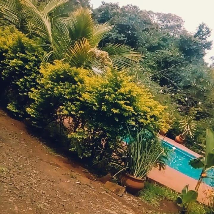 Hotel Y Residencial Amigos Puerto Iguazu Bagian luar foto