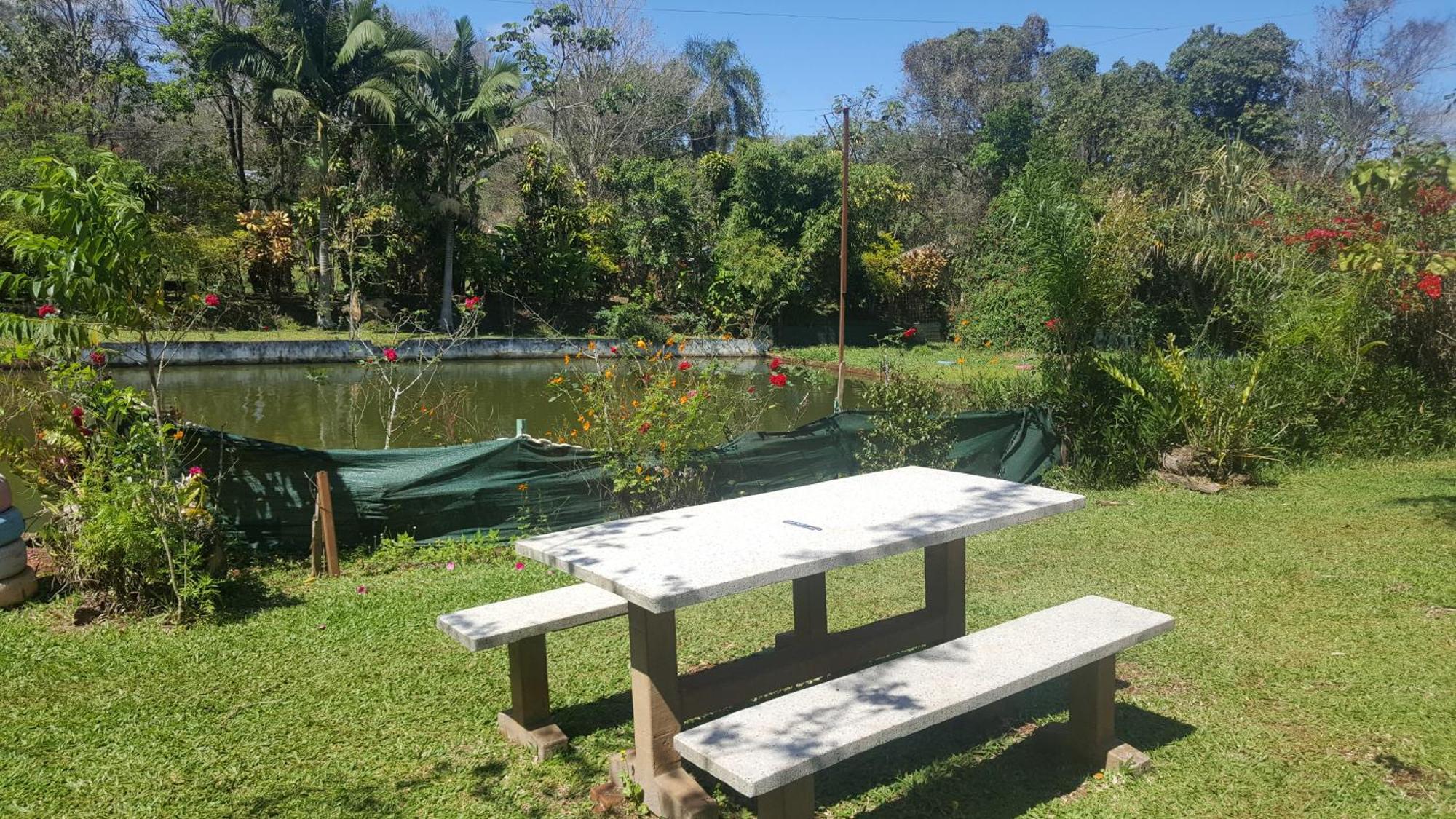 Hotel Y Residencial Amigos Puerto Iguazu Bagian luar foto