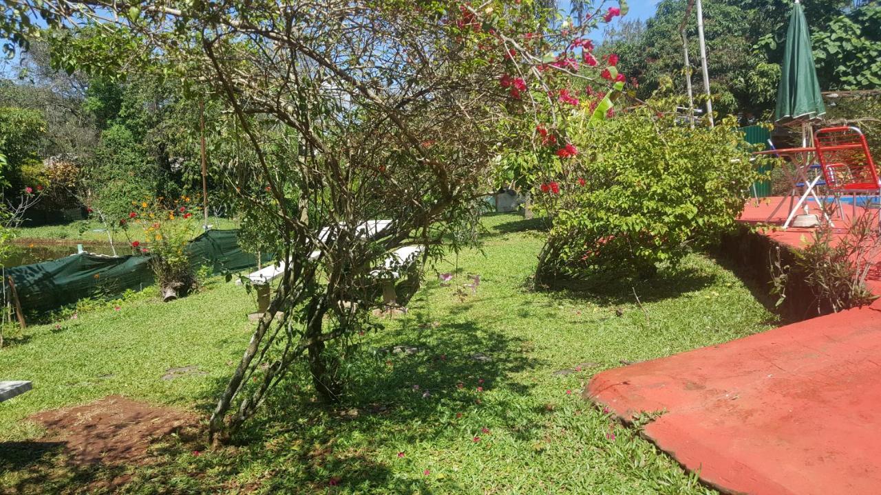 Hotel Y Residencial Amigos Puerto Iguazu Bagian luar foto